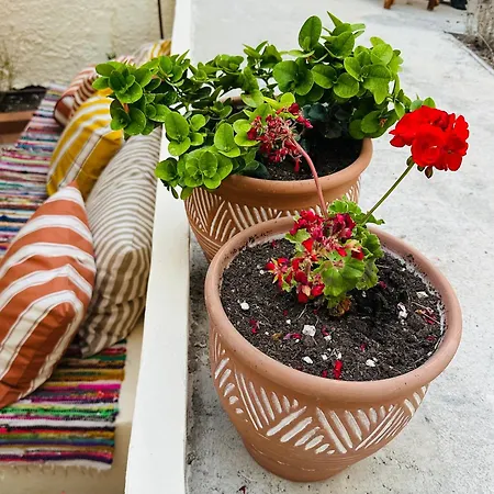 Casa Filita 'old Town Traditional House' 科斯镇